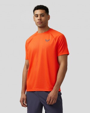 Orange Castore Adapt Short Sleeve Printed T Shirt | 1893NDOFE