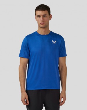 Royal Blue Castore Flow Short Sleeve Knit T-Shirt | 3085CDTKH